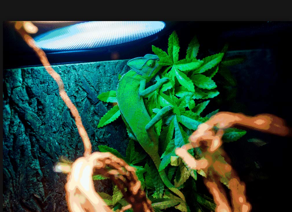 FiveBull plantes en soie reptile décor terrarium, aspect réaliste et durable.