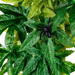 Ventouse FiveBull pour plantes en soie terrarium, fixation fiable et facile.