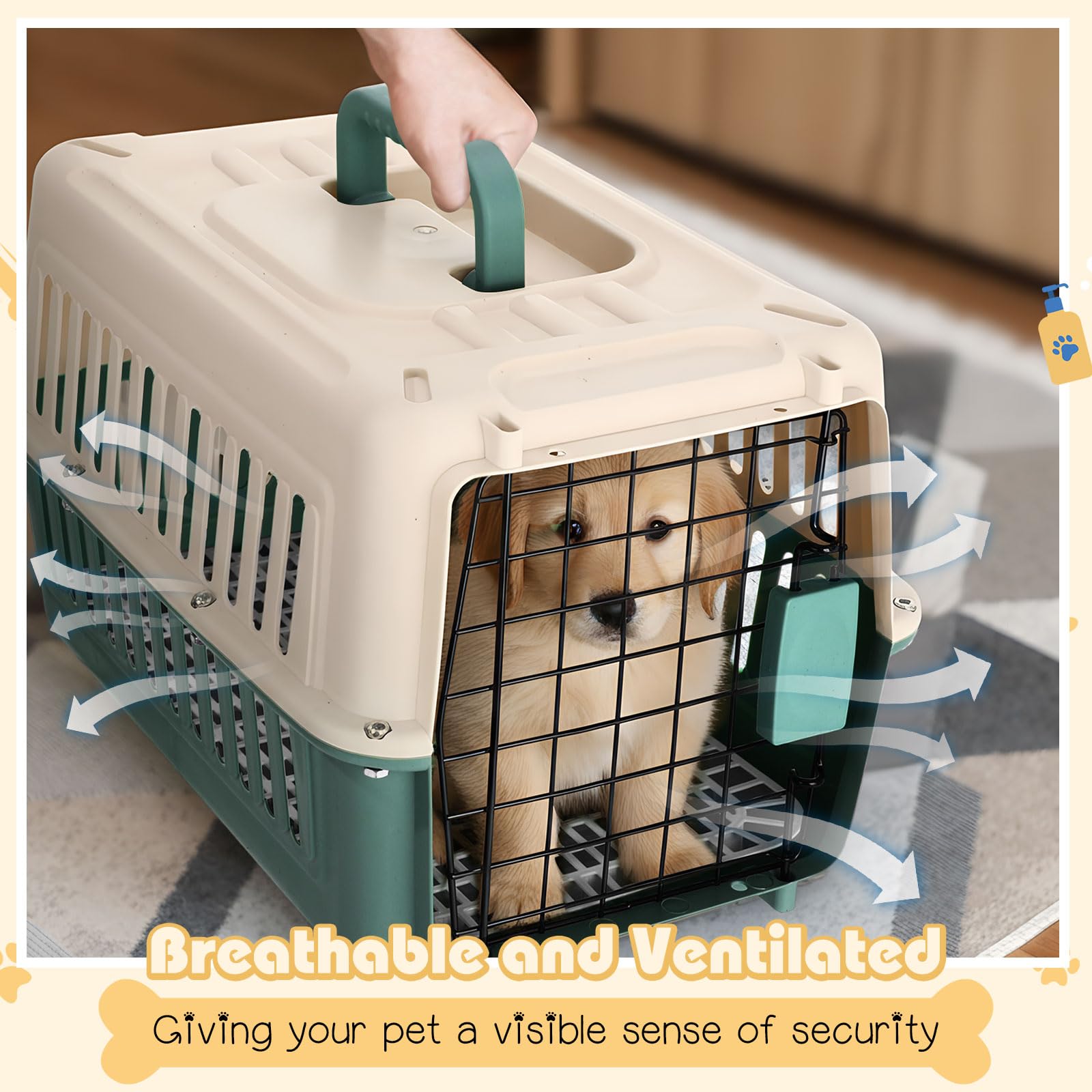 Fiwochic design portable et compact pour les voyages avec animal.