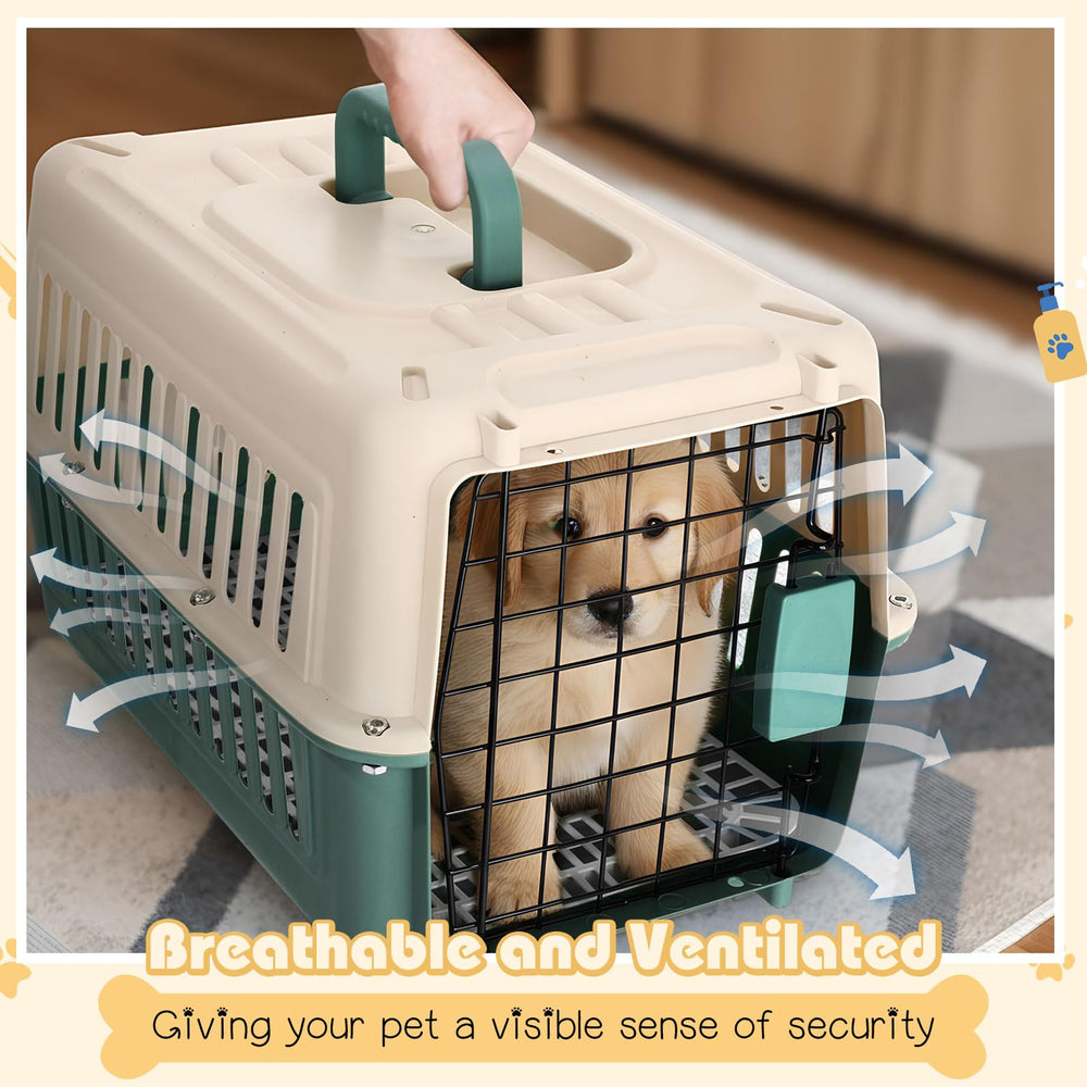 Fiwochic design portable et compact pour les voyages avec animal.