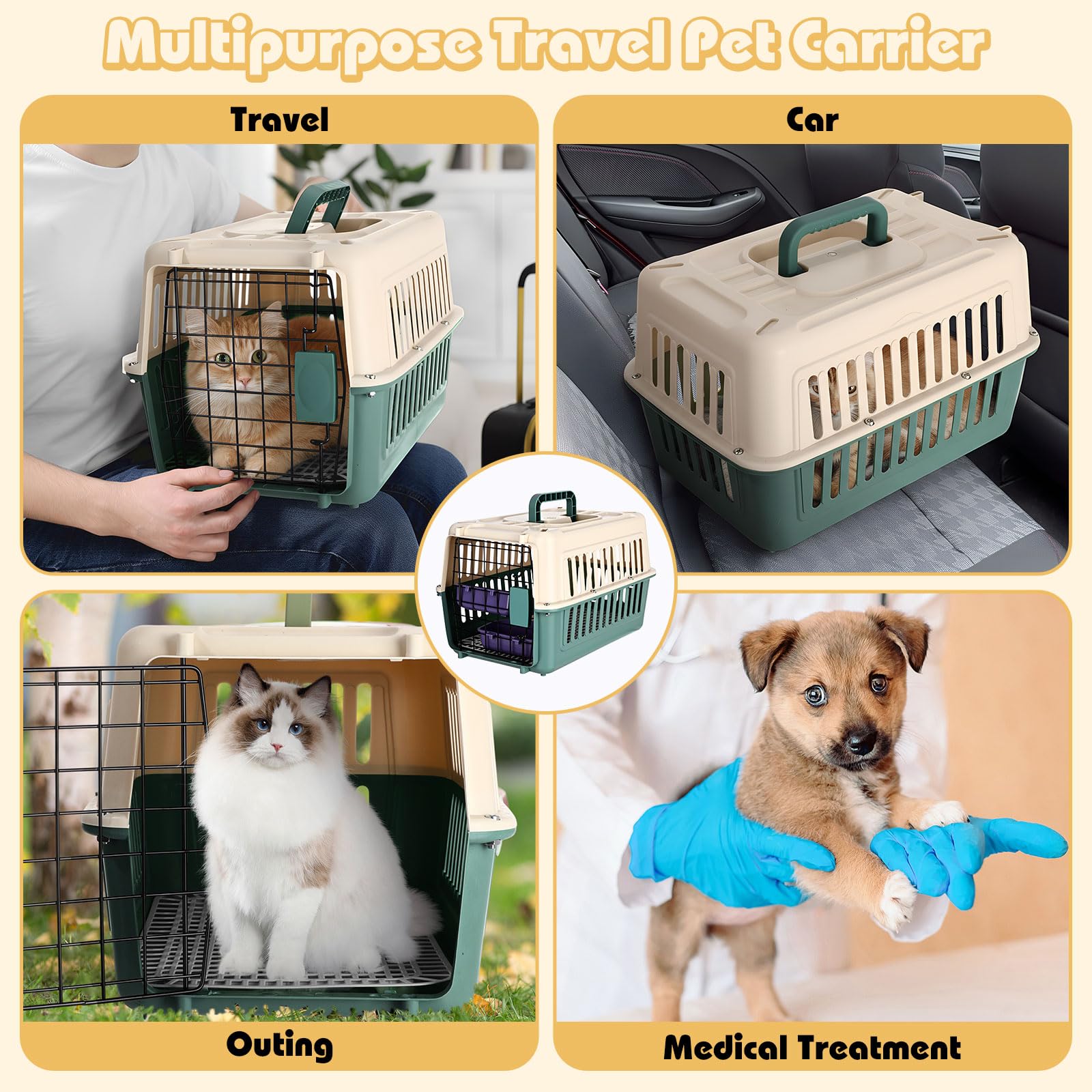 Fiwochic utilisations quotidiennes en voyage, visites chez le vétérinaire et promenades.
