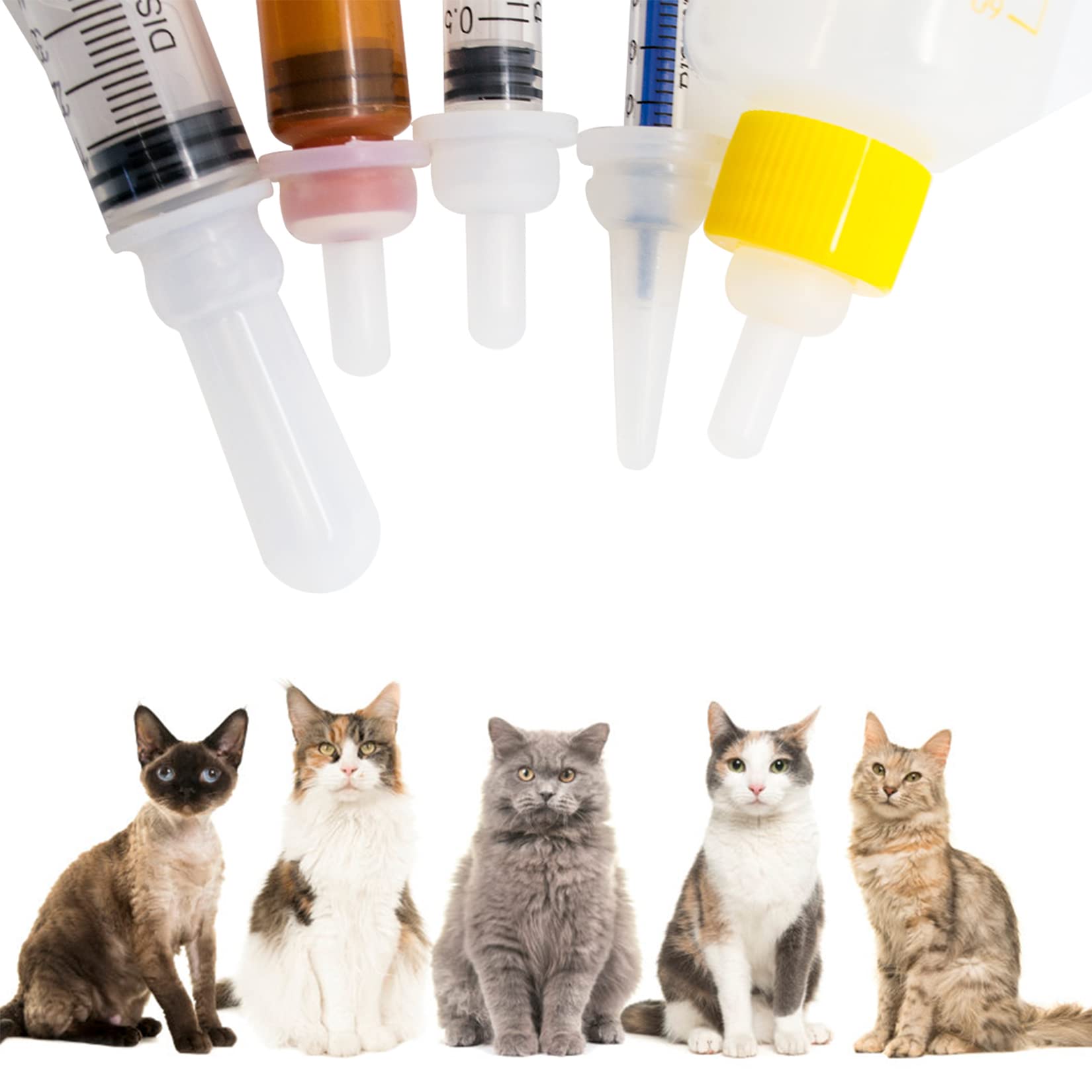 Alimentation sûre et adaptée FJNATINH, idéale pour chiots et chatons.