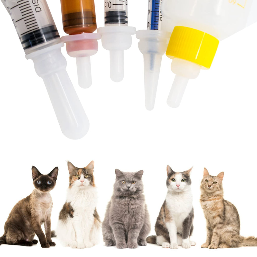 Alimentation sûre et adaptée FJNATINH, idéale pour chiots et chatons.