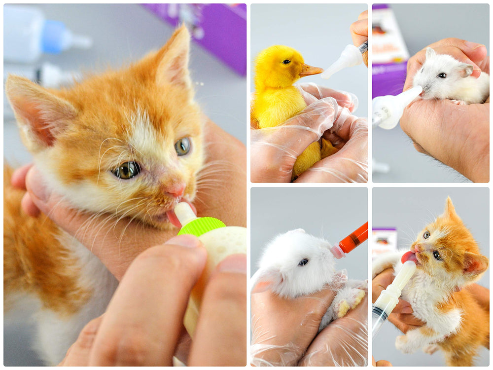 Cadeau FJNATINH pour nouveaux-nés animaux, pratique et attentionné.