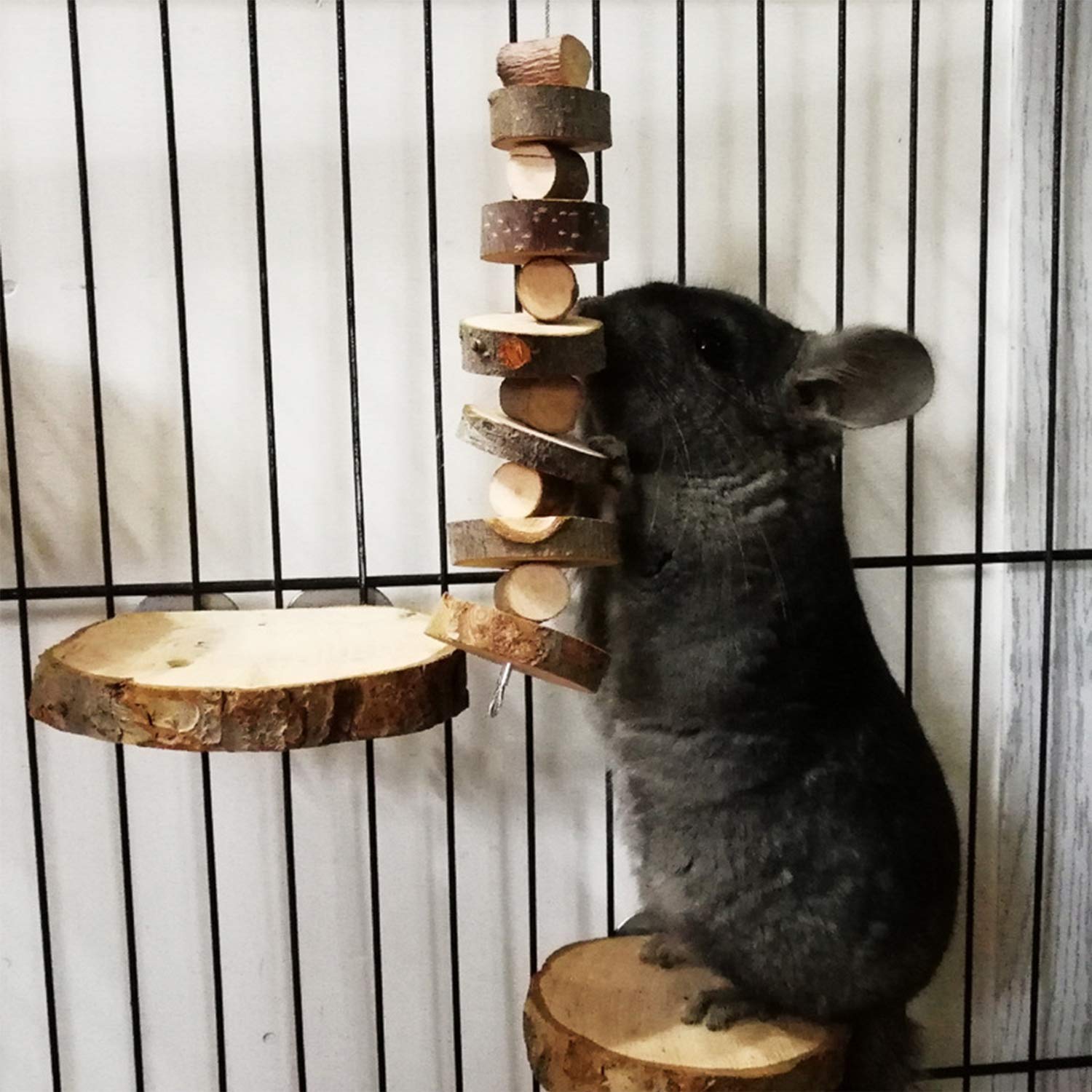 Parfaits pour hamsters, lapins et perruches FJNATINH.
