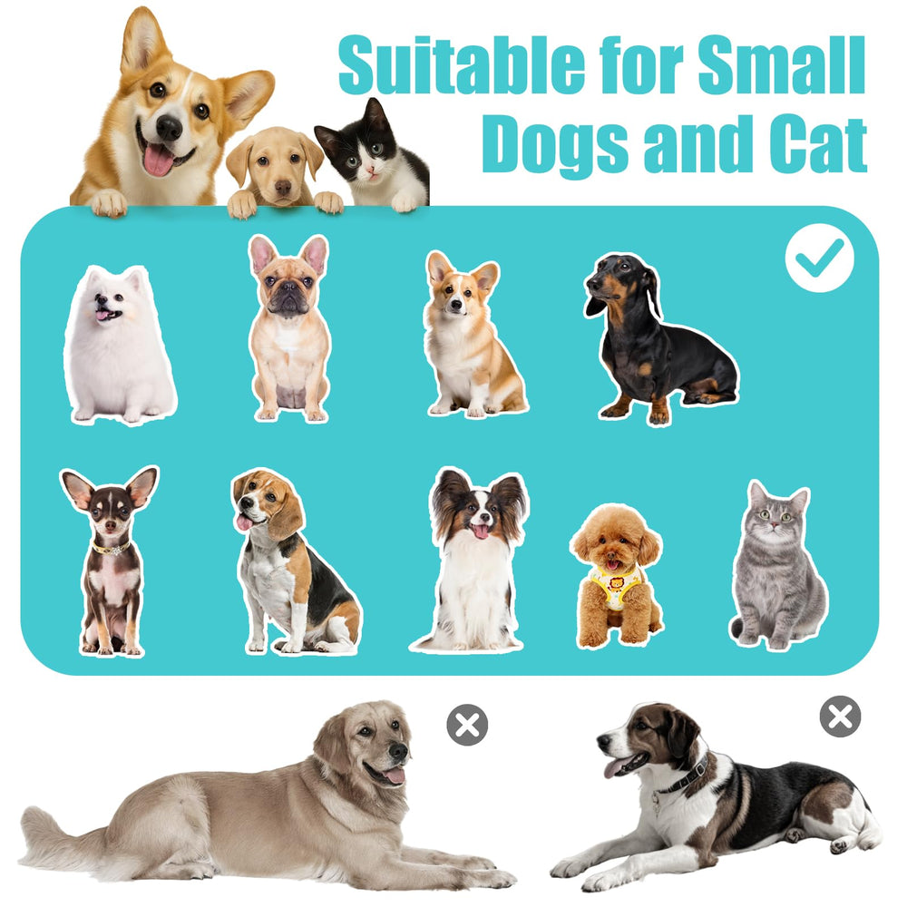 FKSLIFE perchoir – parfait dans le salon pour petits et moyens chiens