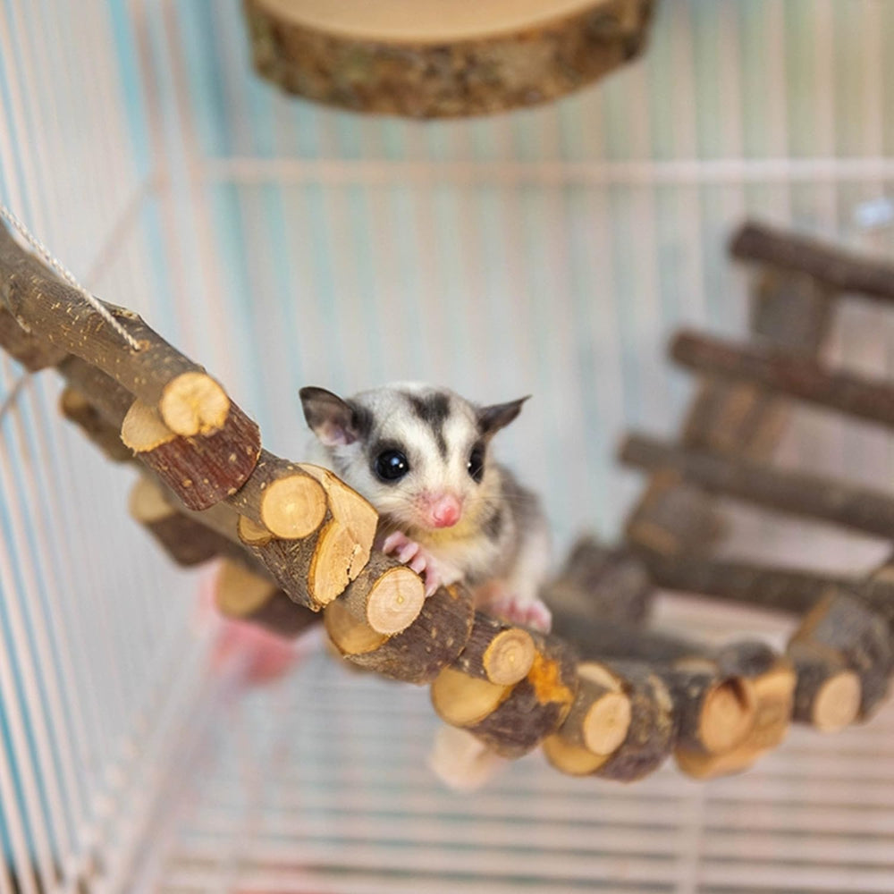FLAdorepet accessoires cage bois pomme, enrichissement et jeu quotidien.