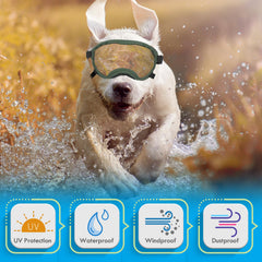 Lunettes Flantor pour chien, sangle triple ajustable pour un maintien sûr.