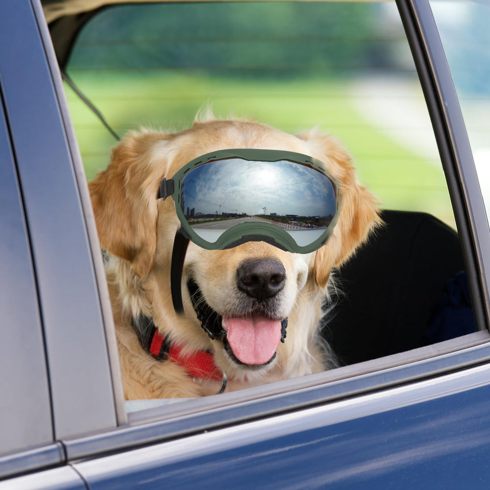 Lunettes Flantor pour chien adaptées au ski et à la neige.