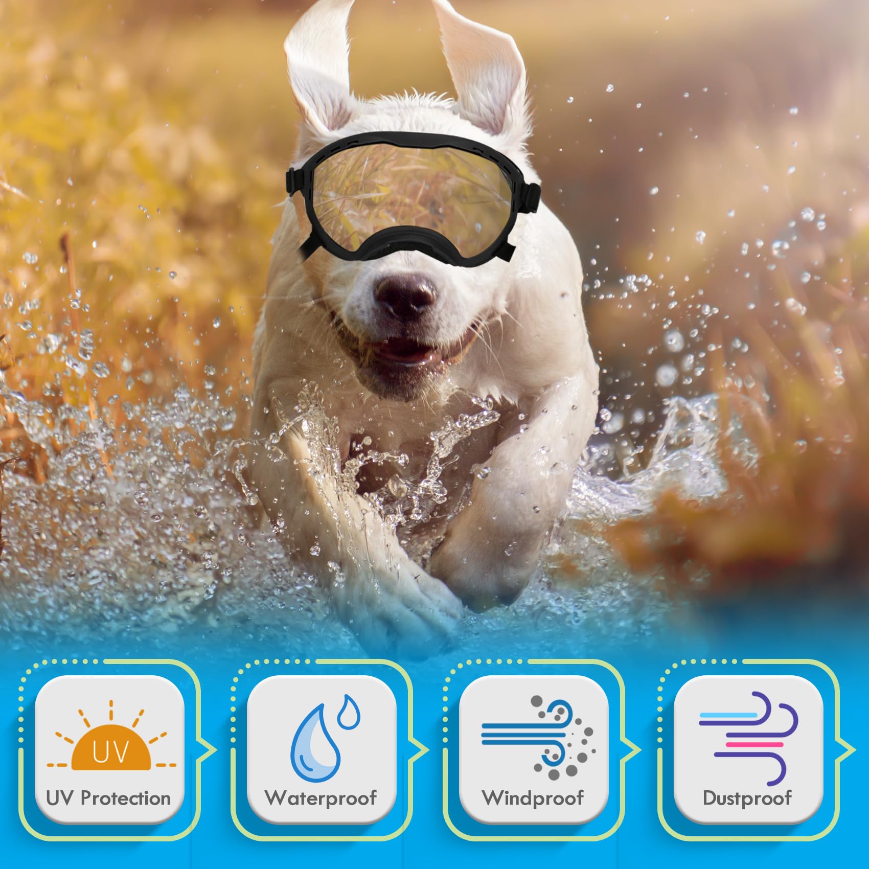 Flantor lunettes chien monture douce, confort durable lors des longues sorties.