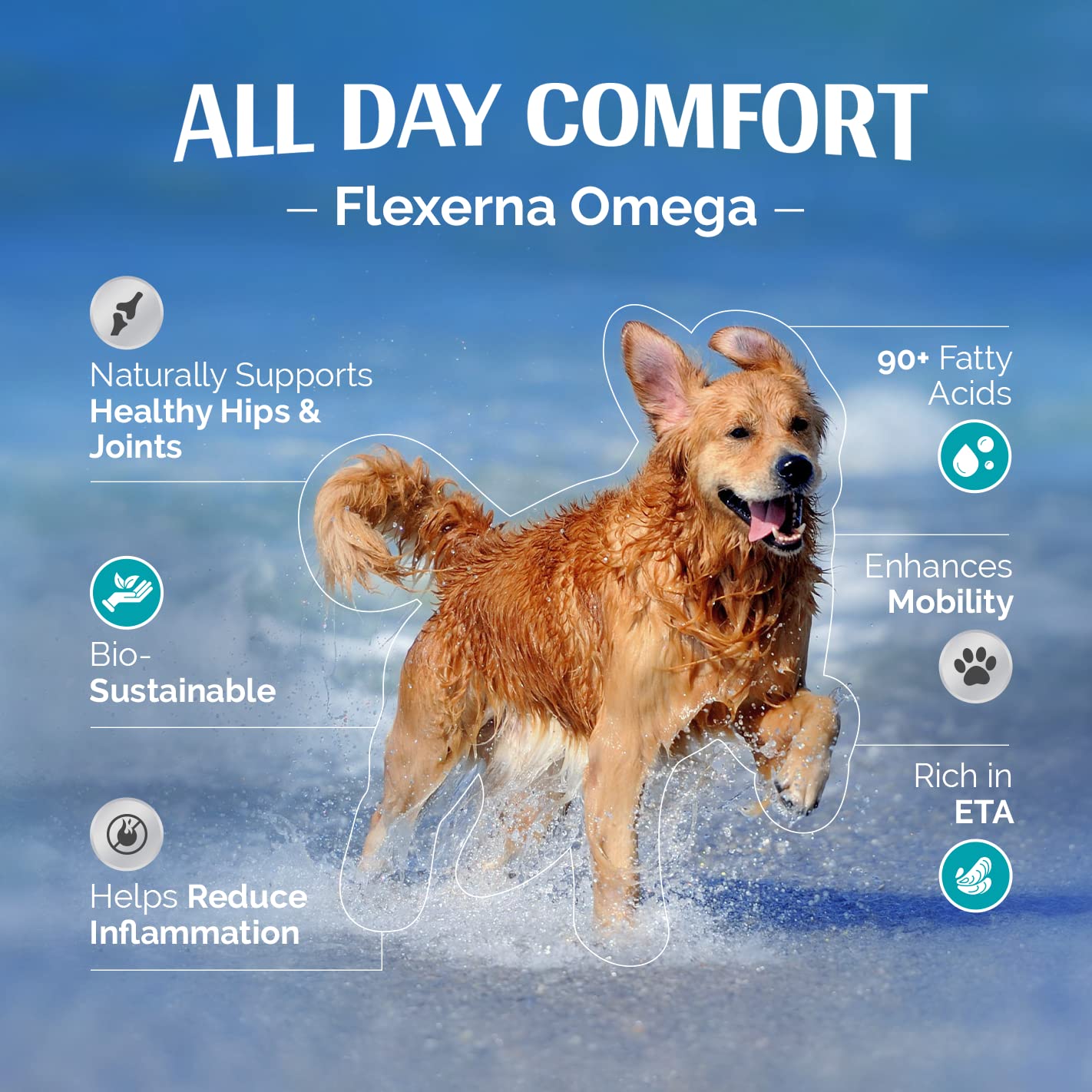 Flexerna Omega: gélules molles illustrant le dosage pratique.