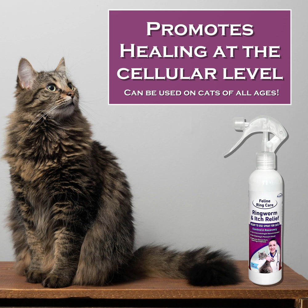 FlexTran Feline Ring Care – utilisation pratique sur les pattes et petits animaux domestiques.
