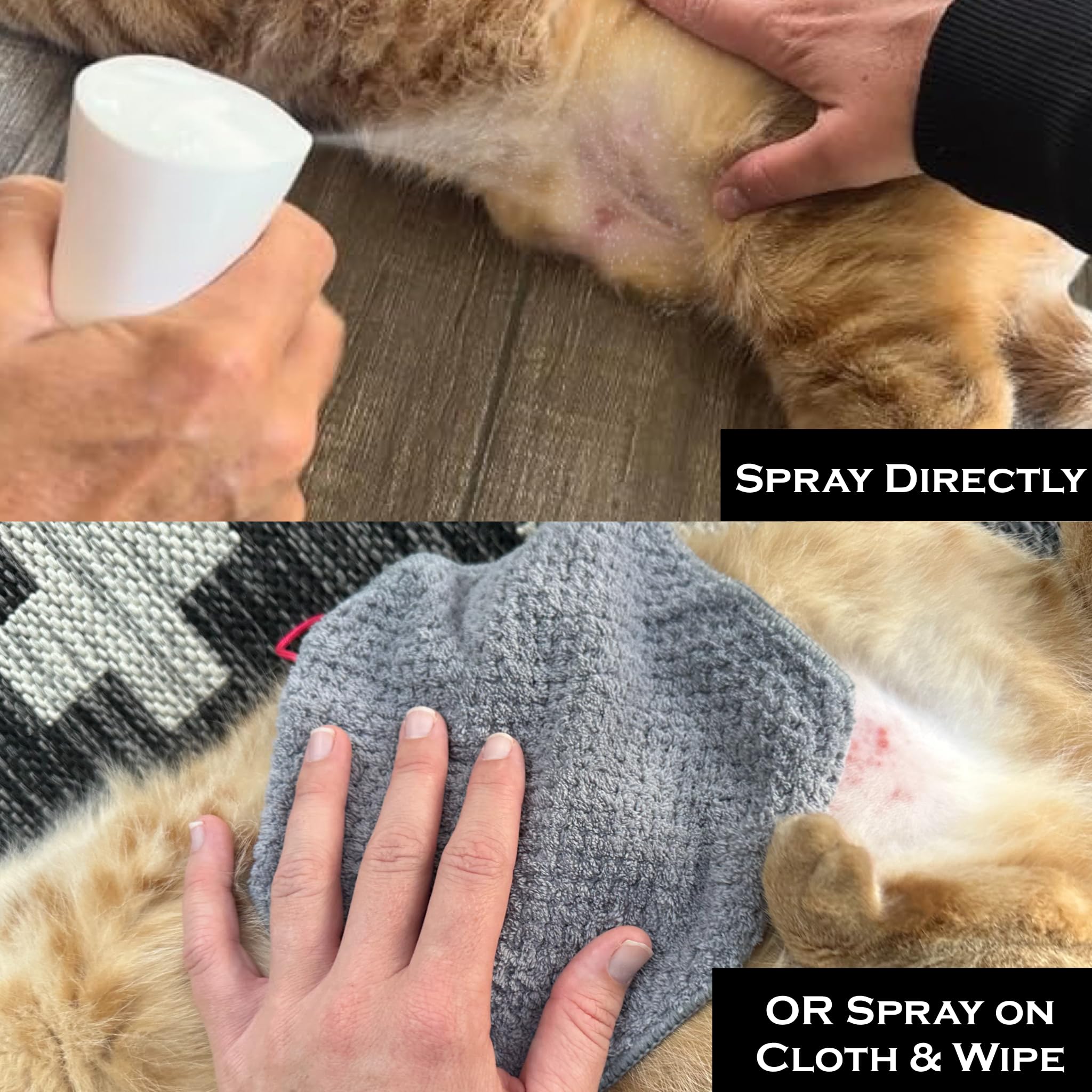 FlexTran Feline Ring Care témoignages d'utilisateurs sur le bien-être cutané.