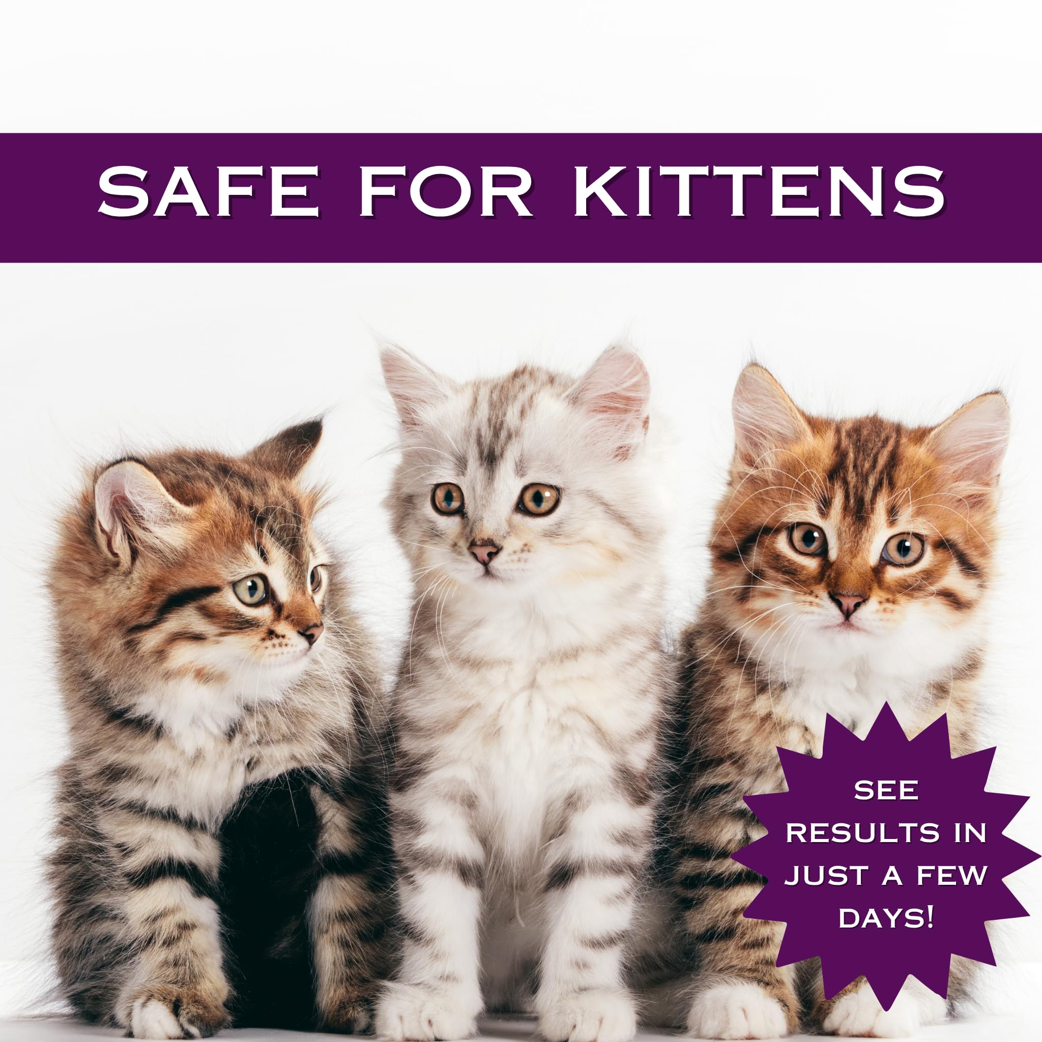 FlexTran Feline Ring Care – flacon pratique pour l’entretien quotidien de la peau à la maison.