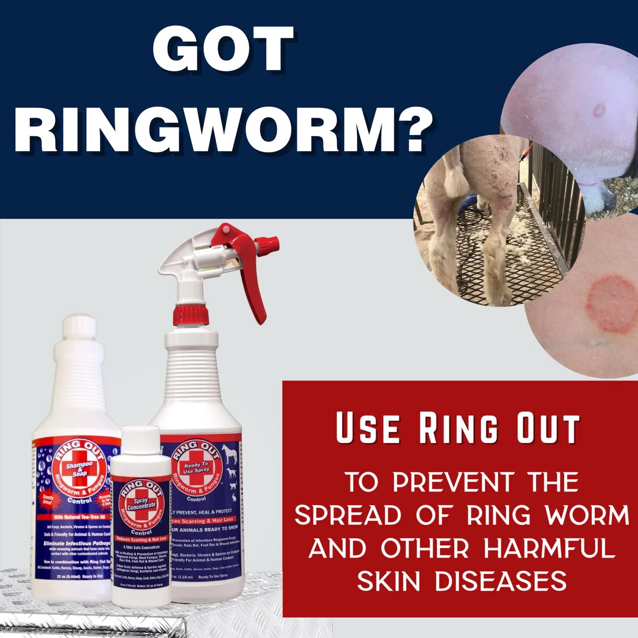 FlexTran RingOut Spray 32onces, pratique pour pulvérisation ciblée.
