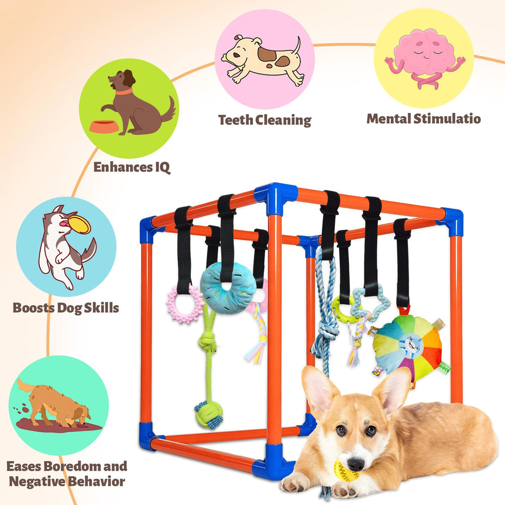 Flickzy jouets en caoutchouc souple pour dentition et exploration.