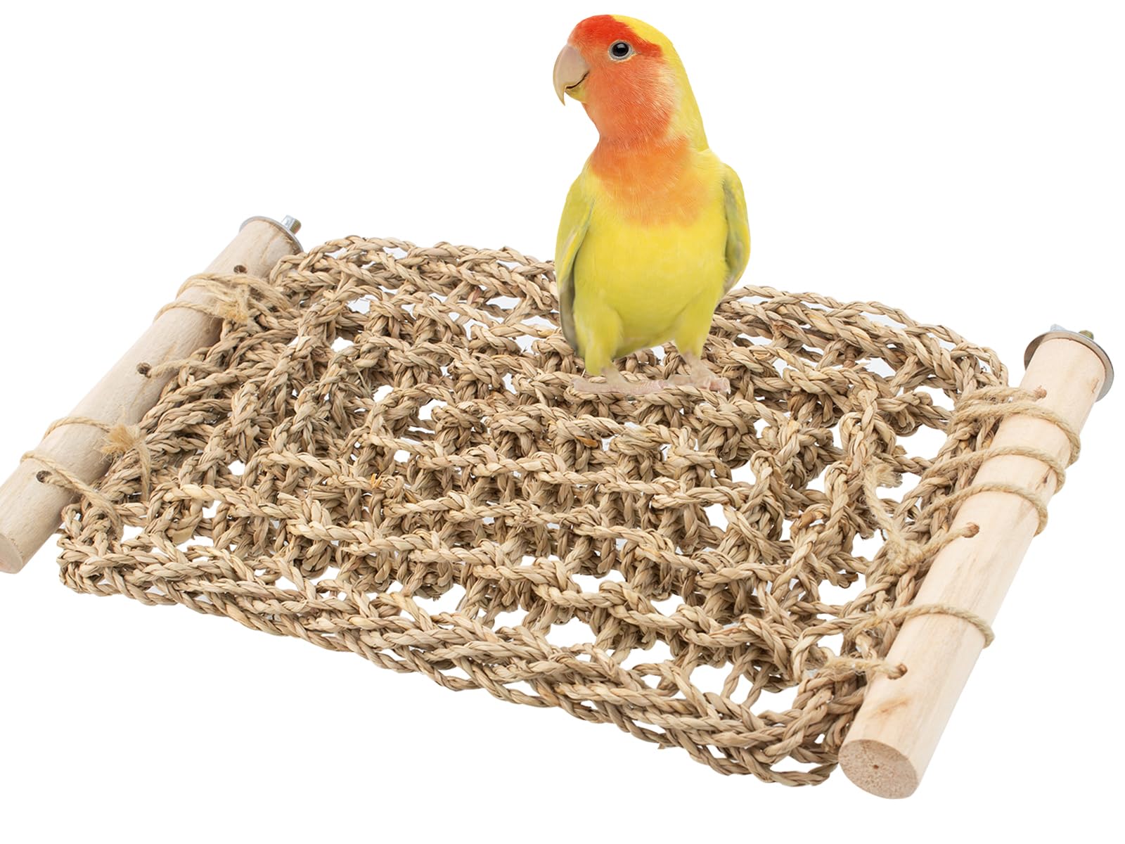 FlidRunest accessoires-cage adaptés à plusieurs especes d’oiseaux