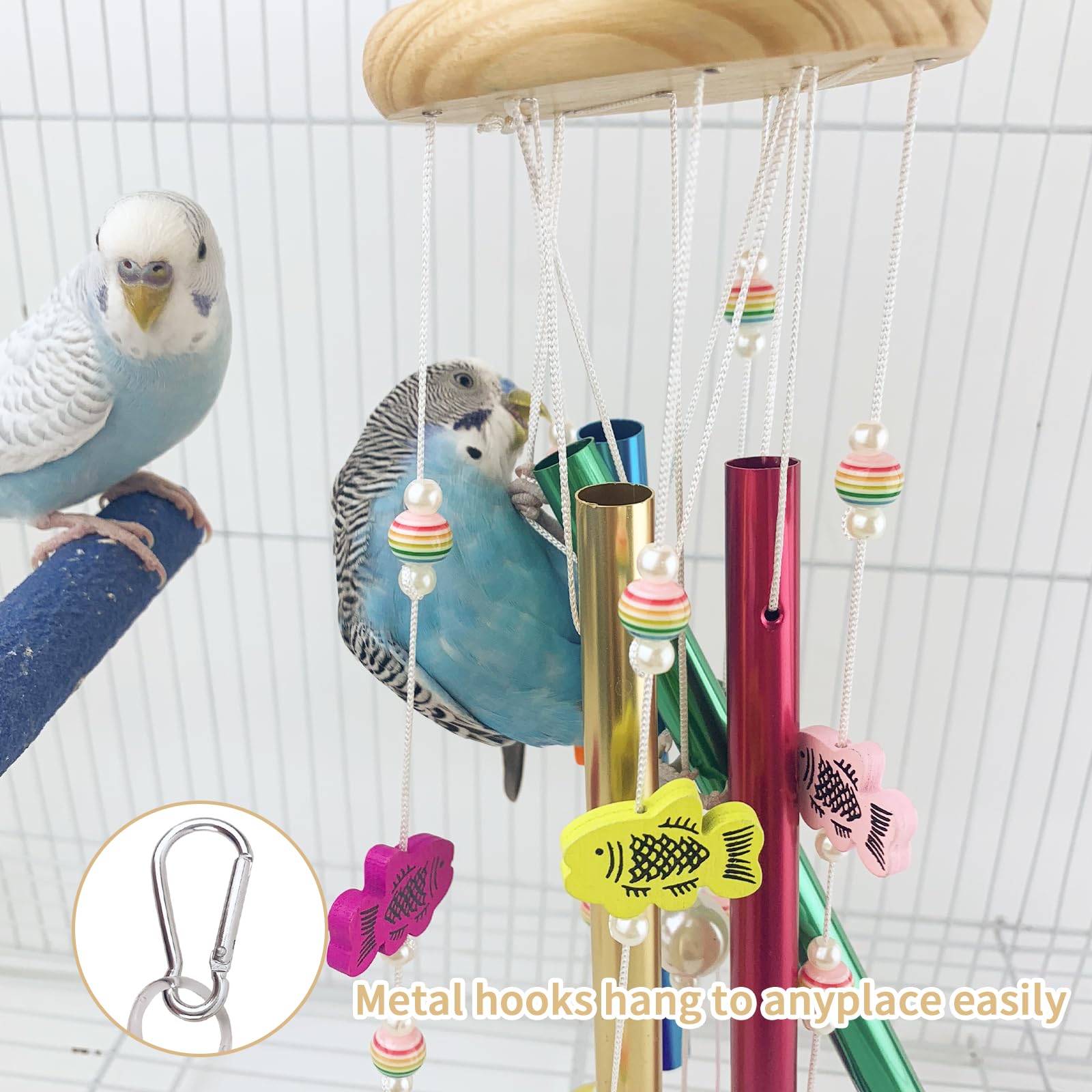 FlidRunest jouet grignotage pour conure, stimulation physique.