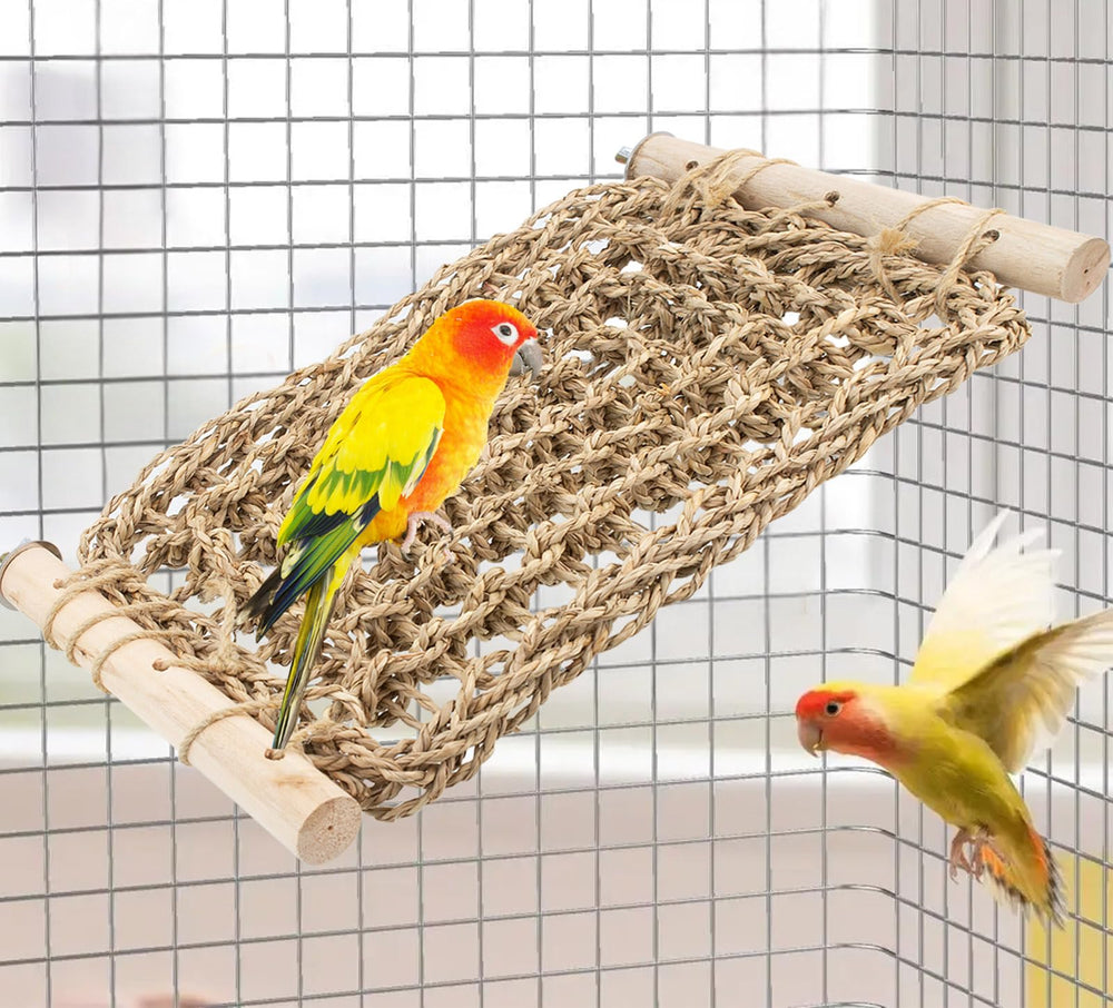 FlidRunest perche-échelle Conure en seagrass, exercice en cage