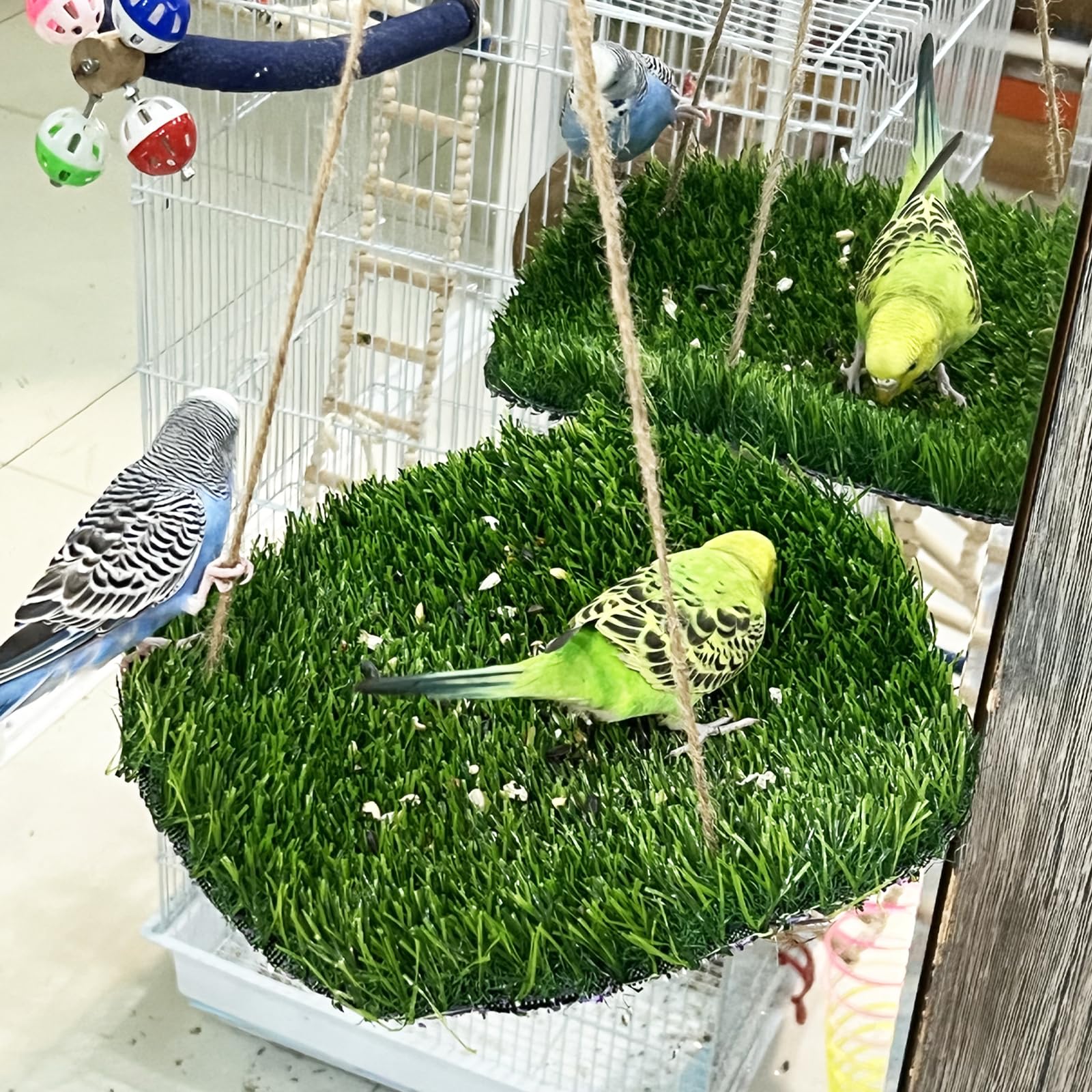 FlidRunest-tapis-forage-avec-crochets: prêt à accrocher pour stimulation mentale.