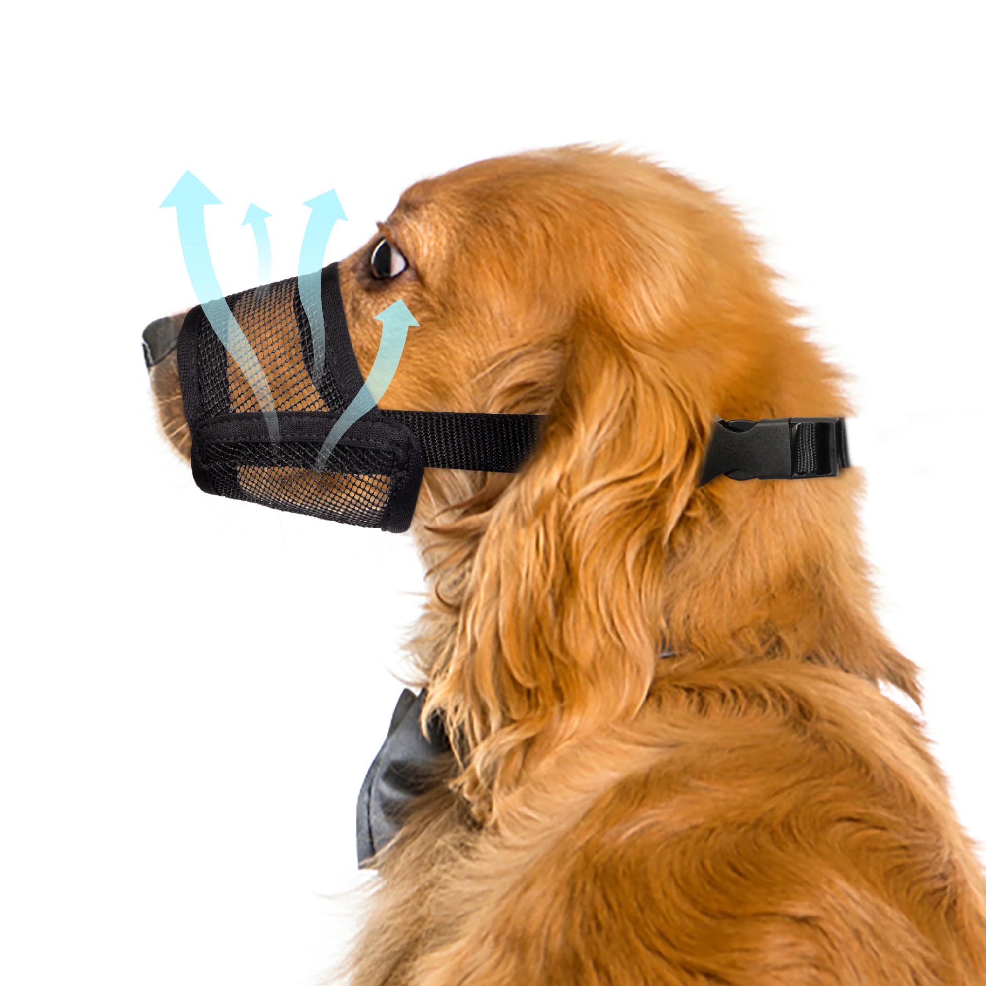 Flintstone muselière grand chien – vue générale, maille respirante pour le confort lors des promenades.