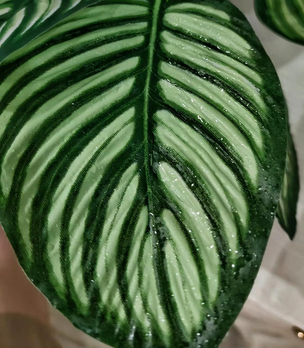 FLmoving base en résine assure stabilité et sécurité dans le terrarium.