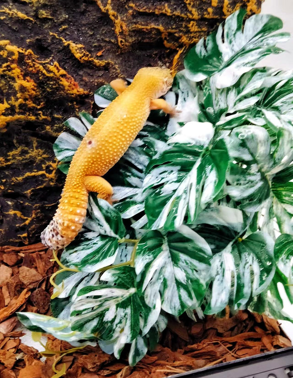 Décor de terrarium durable avec végétation artificielle pour reptiles.