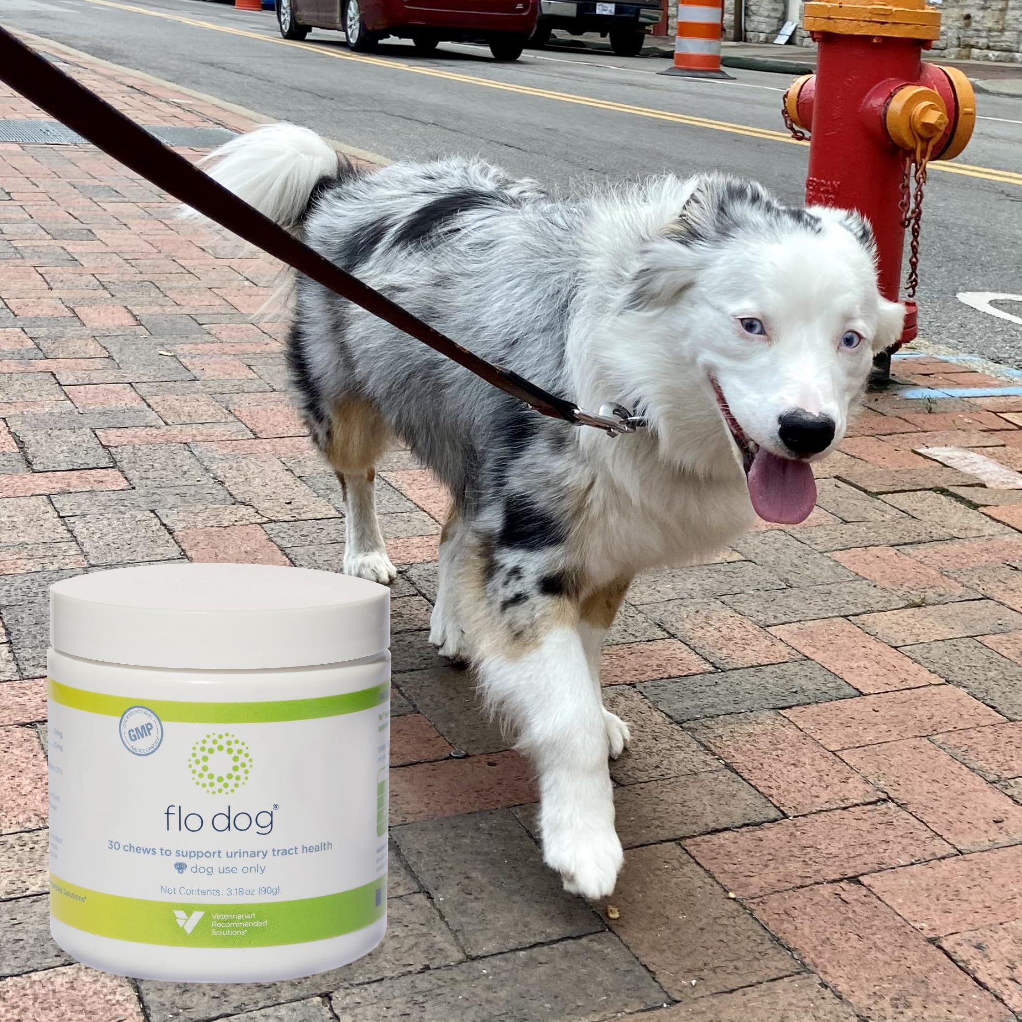 Flo Dog Cranberry – utilisation quotidienne pour des résultats potentiels.