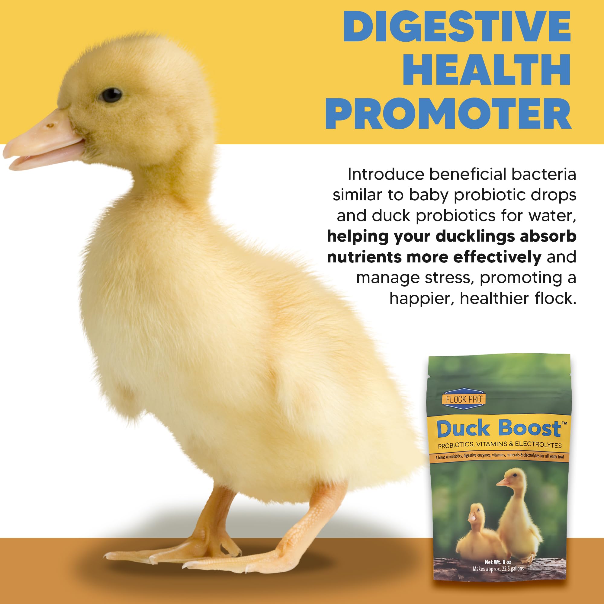 Sachet Duck Boost – poudre facile à mélanger dans l'eau.