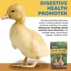 Sachet Duck Boost – poudre facile à mélanger dans l'eau.