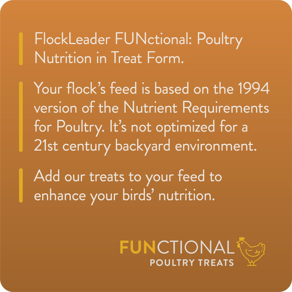 FLOCKLEADER Enhance : larves-noires riches en calcium pour l’alimentation des volailles.