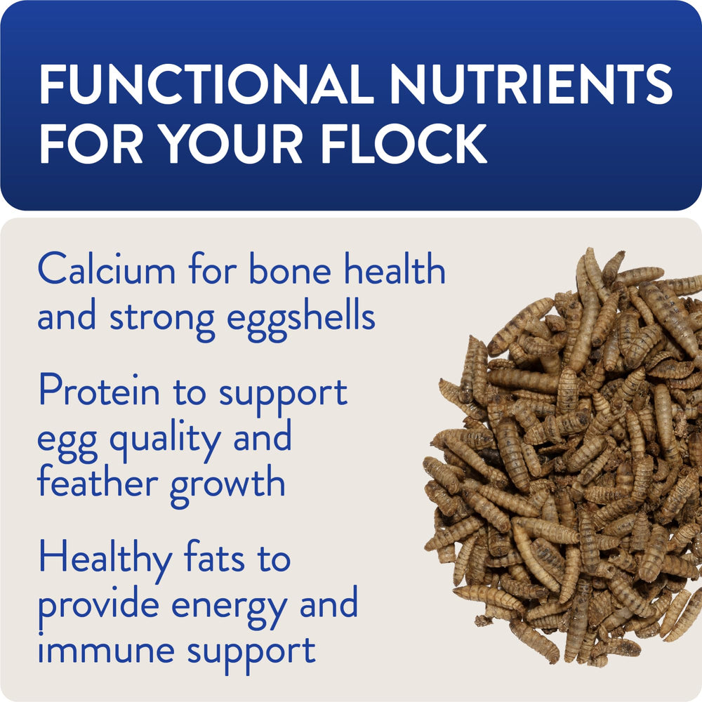 FLOCKLEADER nutriments essentiels comme calcium et protéines pour oiseaux.