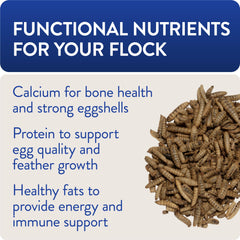 FLOCKLEADER nutriments essentiels comme calcium et protéines pour oiseaux.