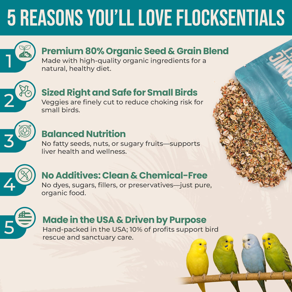Flocksentials Bol-graines-perruche: repas pratique et varié.