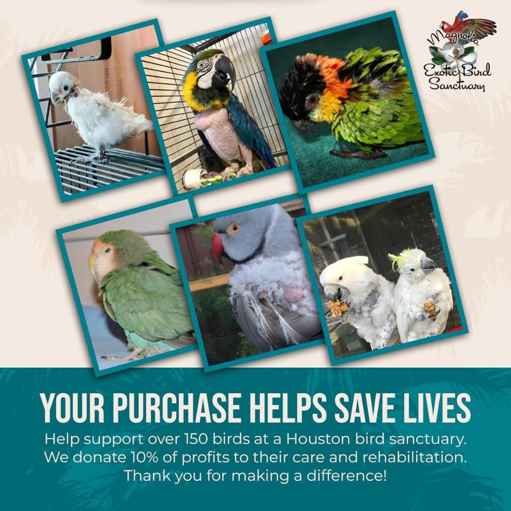 Flocksentials Fabrique-usa-nourriture-perruche: qualité locale.