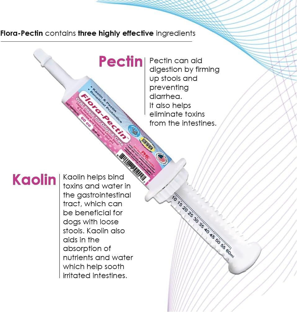 FLORA-PECTIN Pâte orale – tube lors de trajets et voyages, soutien en déplacement.