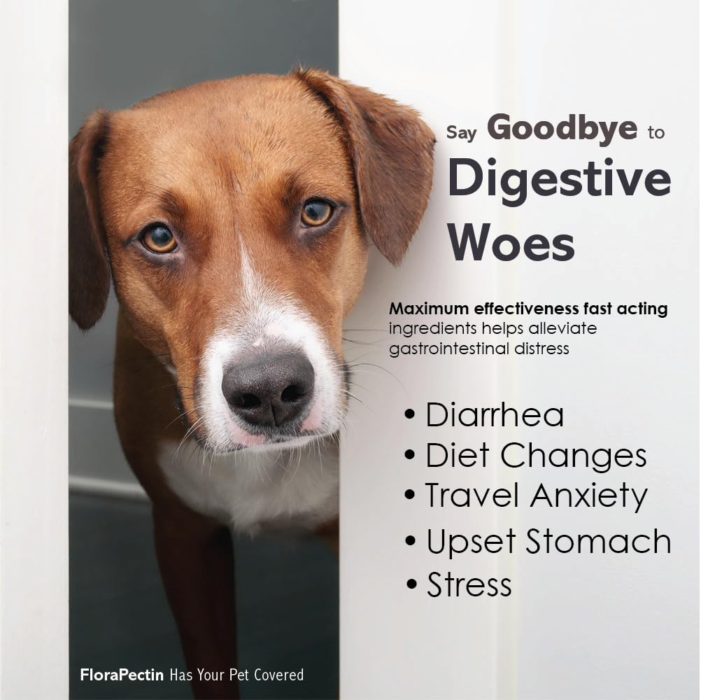 Quatre souches probiotiques FLORA-PECTIN pour la flore intestinale canine et féline.