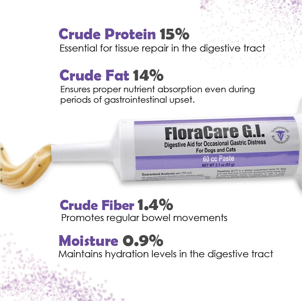 Ingrédients naturels et formule avancée, FloraCare G.I. Pâte Digestive pour le confort gastro-intestinal