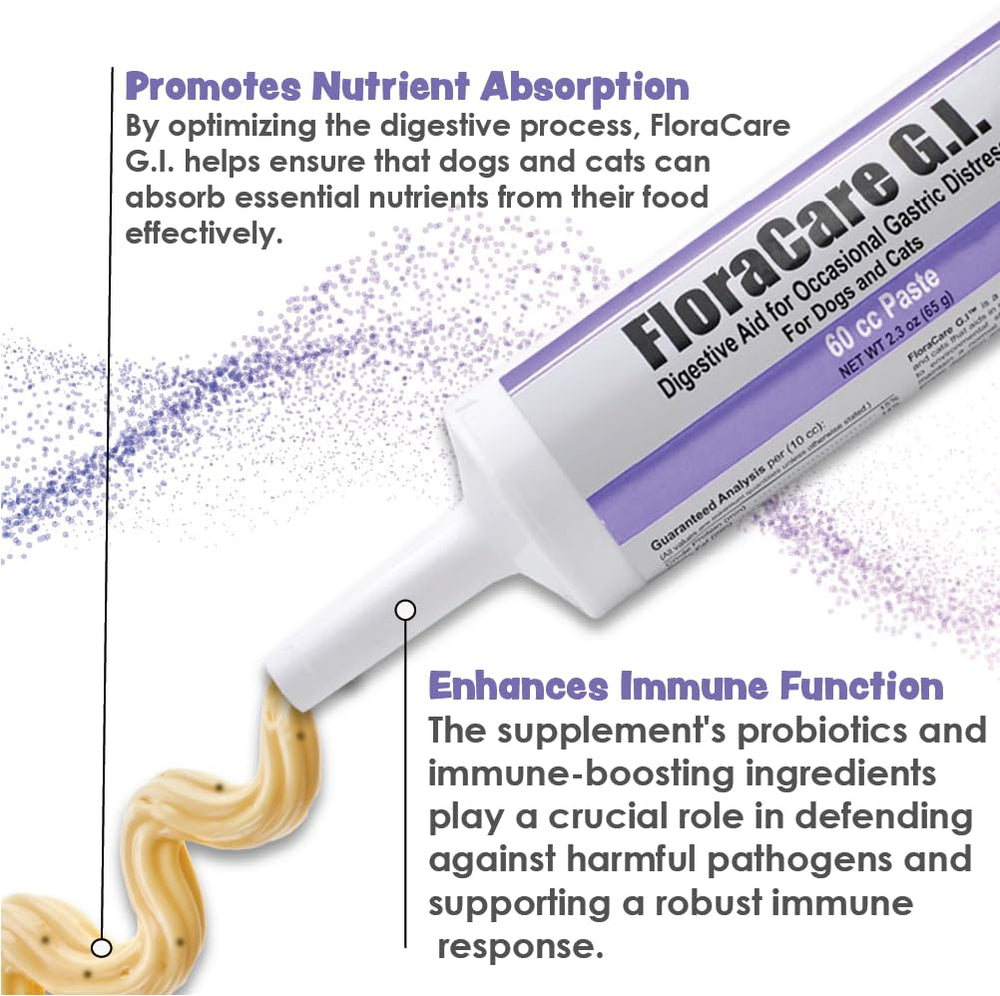 Probiotiques exclusifs intégrés dans FloraCare G.I. Pâte Digestive pour une digestion équilibrée
