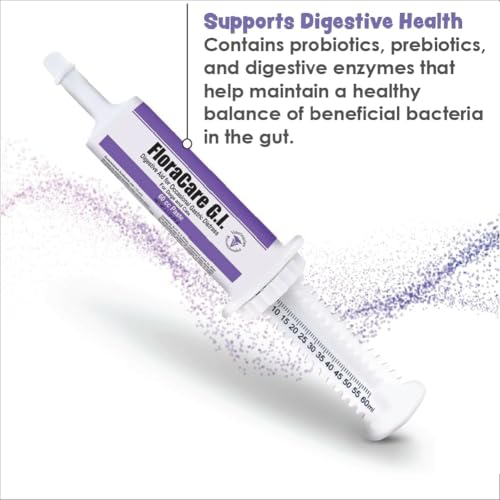 FloraCare G.I. Pâte Digestive, seringue orale pour administration facile et dosage précis
