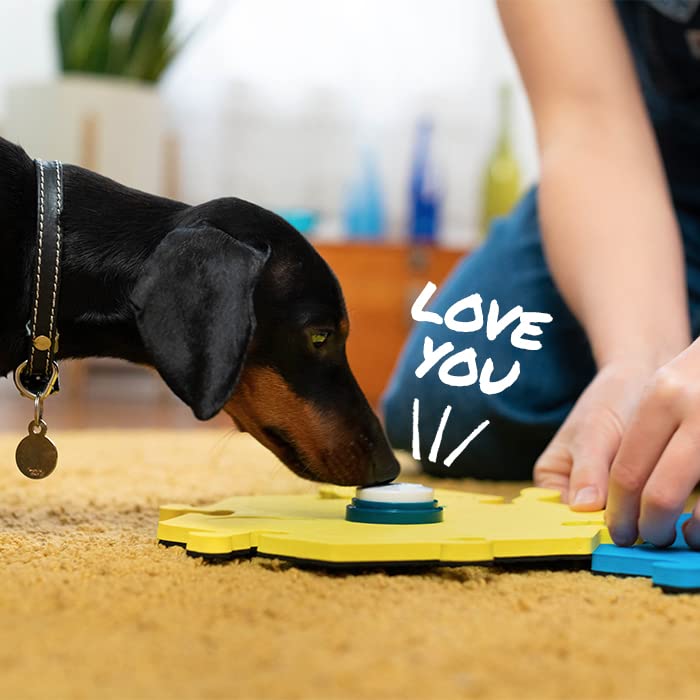 FluentPet objectifs de communication du nouvel an pour chiens et chats.