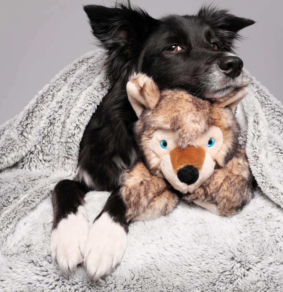Lobo Wolf Pup taille extra-large 20 pouces, adapté aux grands chiens.