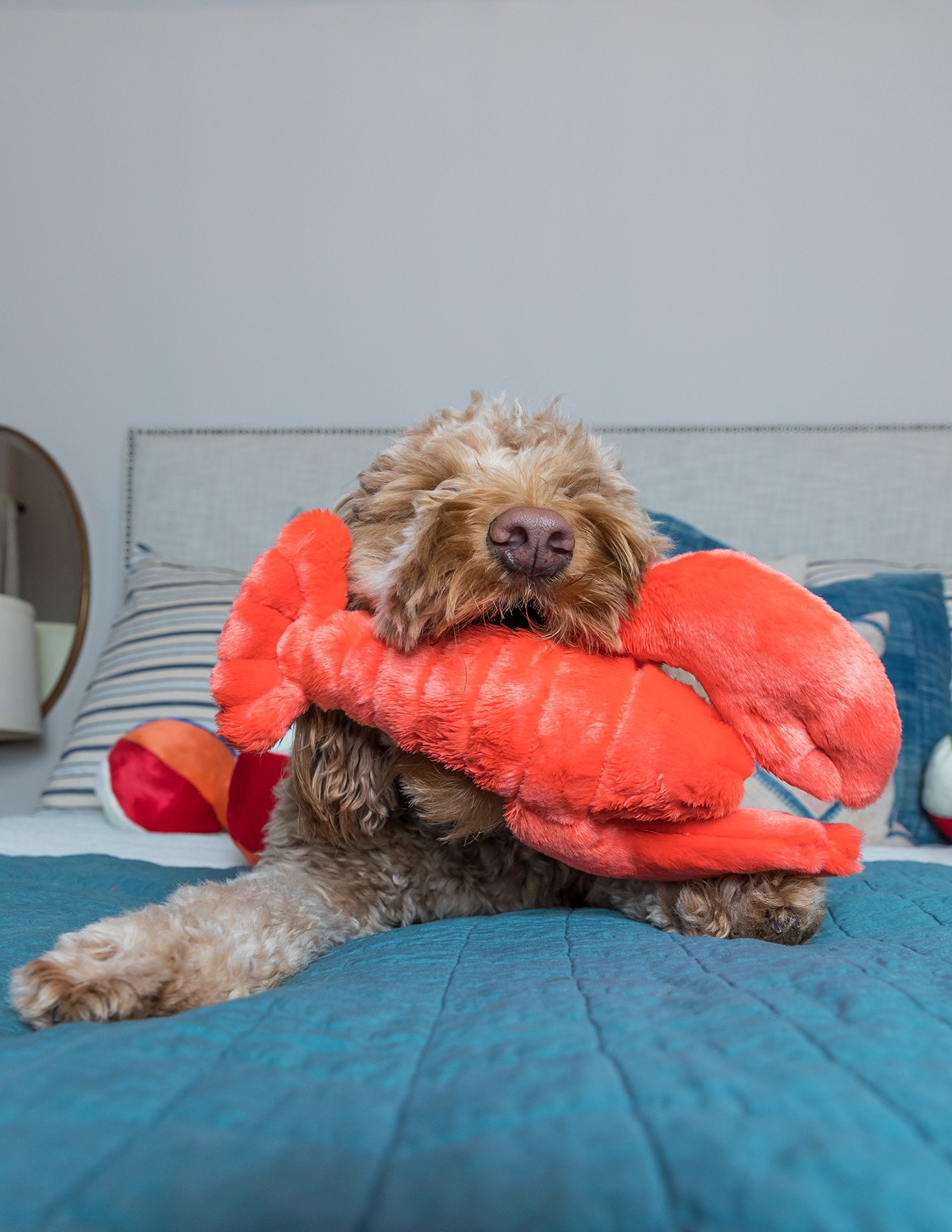Manny Lobster Fluff & Tuff, yeux brodés pour la sécurité et le jeu surveillé.