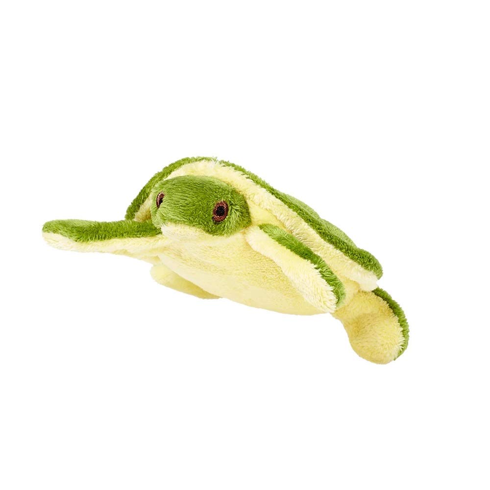 Tortue Shelly, yeux doux pour des câlins réconfortants.