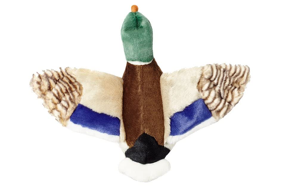 Détails plumes colorées et ailes sur Wally Mallard pour stimulation visuelle.