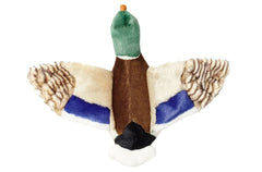 Détails plumes colorées et ailes sur Wally Mallard pour stimulation visuelle.