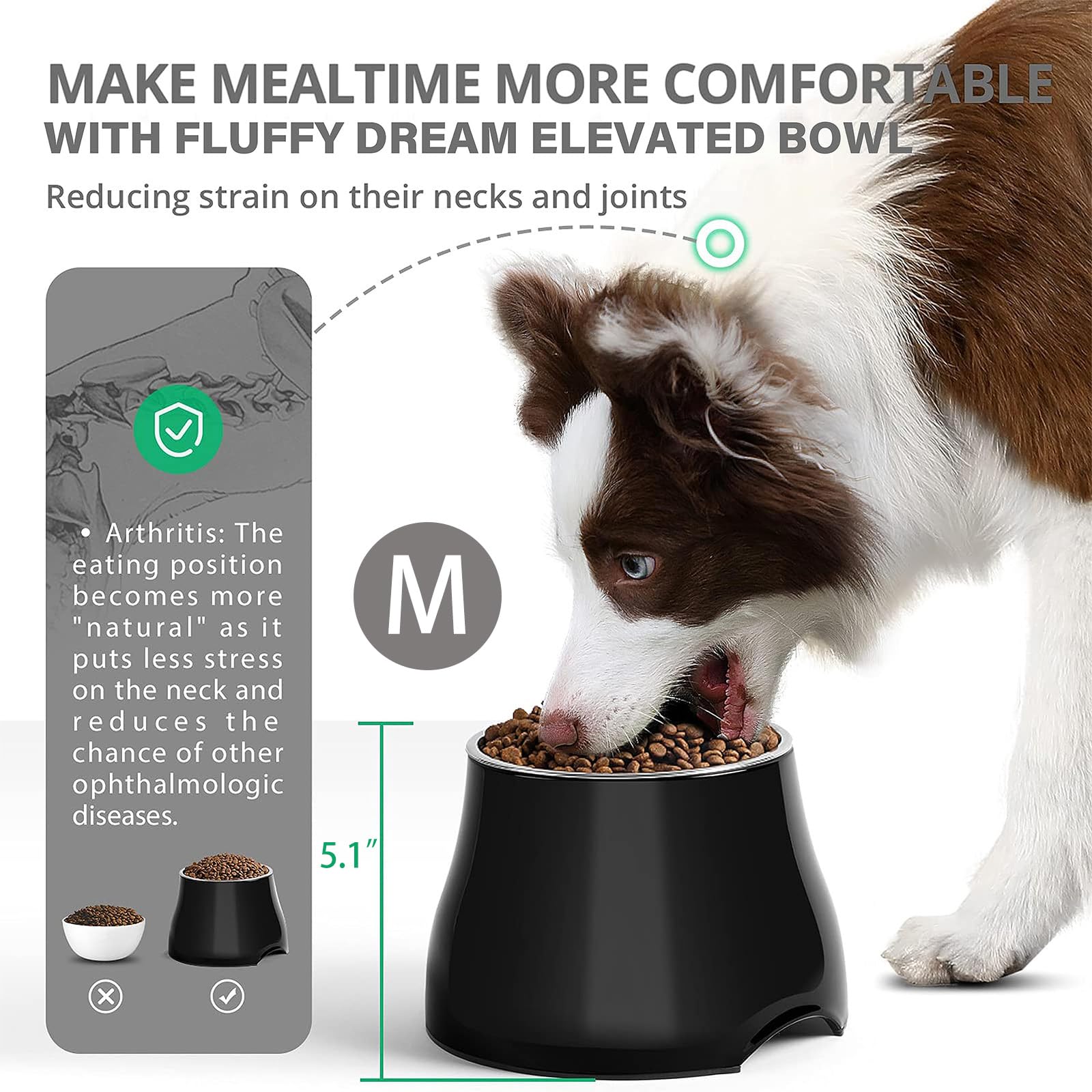 FluffyDream bol elevé inox amovible, facile à nettoyer et durable