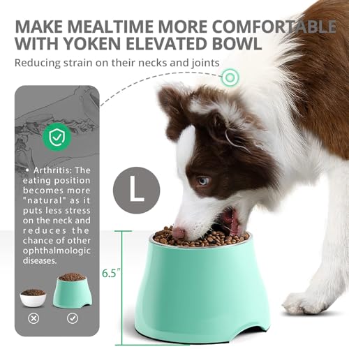 Bol inox FluffyDream élevé, couleur menthe verte, durable et facile à nettoyer