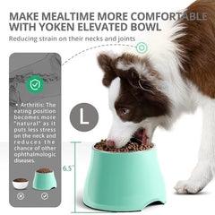 Bol inox FluffyDream élevé, couleur menthe verte, durable et facile à nettoyer