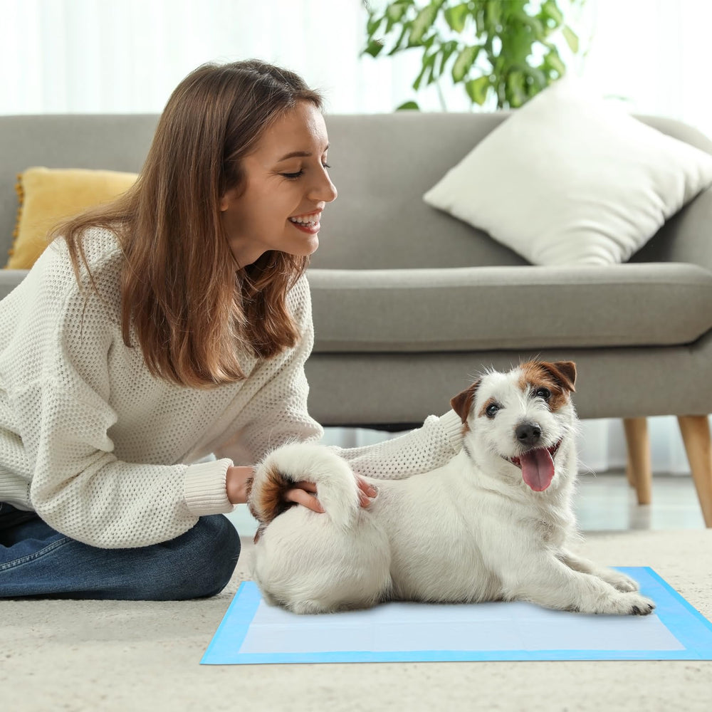 FluffyDream pad à 5 couches, absorption rapide et contrôle des fuites.